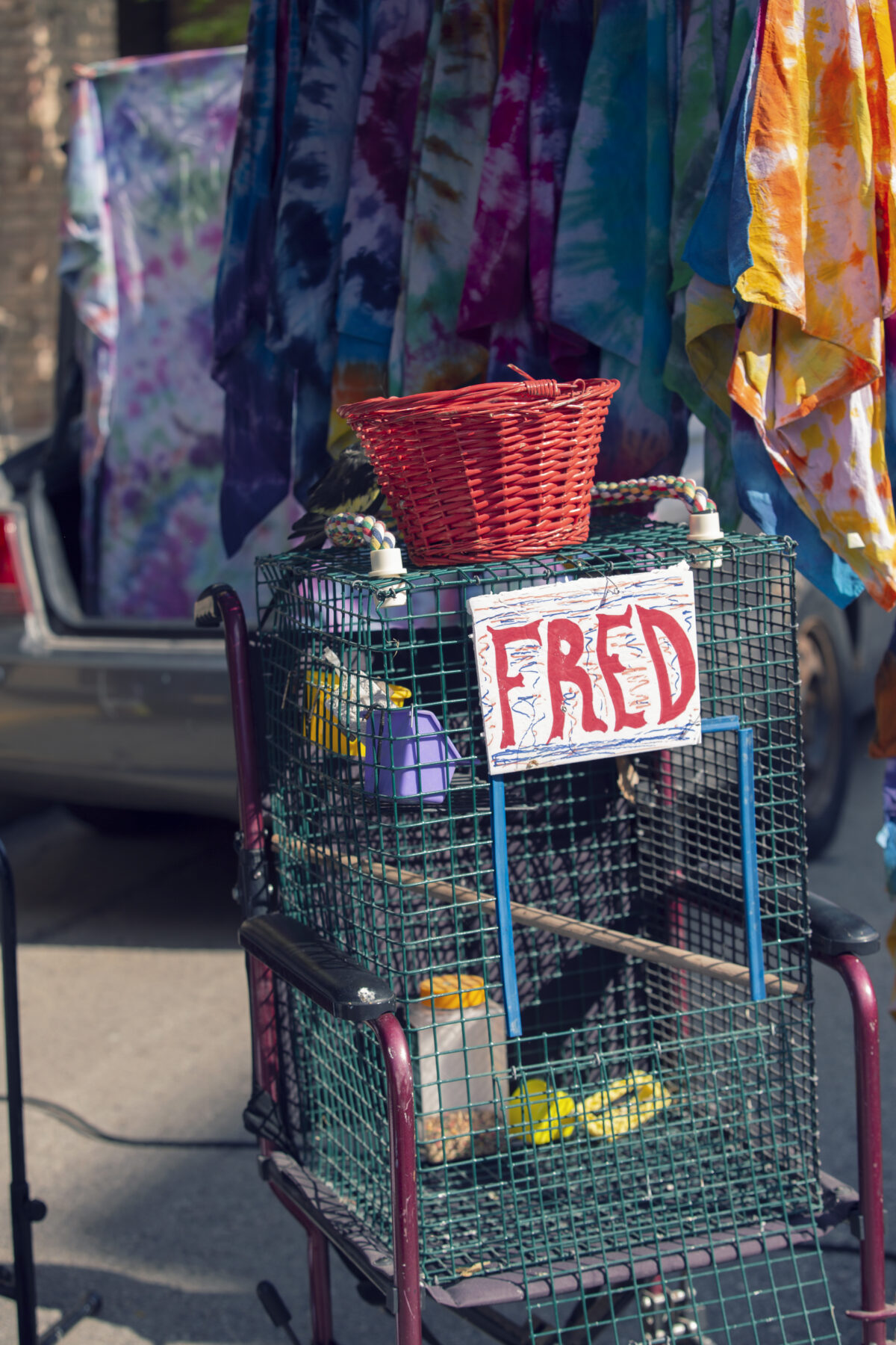 Farmers Market Downtown Fond du Lac Partnership